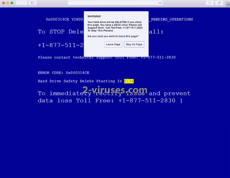 yourharddrivewillbedeleted-2-viruses
